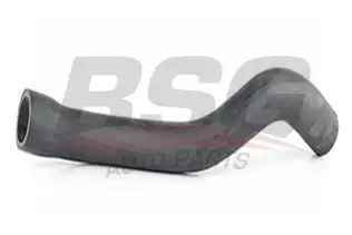 BSG 65720023 Radyatör Hortumu Alt
