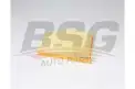 BSG 15135016 Hava Filtresi