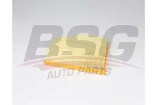 BSG 15135016 Hava Filtresi