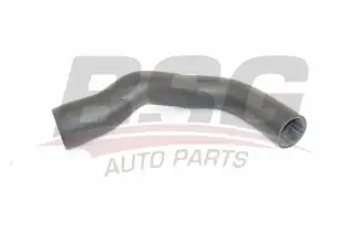 BSG 65720206 Turbo Hortumu