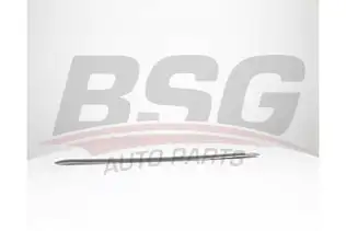 BSG 65925038 Kapı Bandı Arka Sol