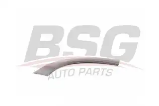 BSG 70925001 Kapı Bandı Ön