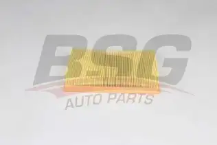 BSG 30135037 Hava Filtresi