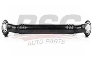 BSG 60310068 Rot Orta