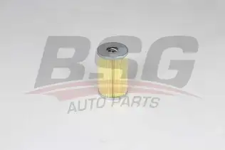 BSG 60140014 Yağ Filtresi