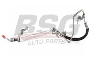 BSG 30725064 Direksiyon Hortumu