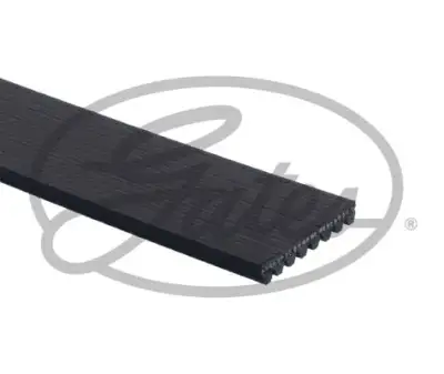 GATES 8PK2093 V Kayışı - 2. Görsel