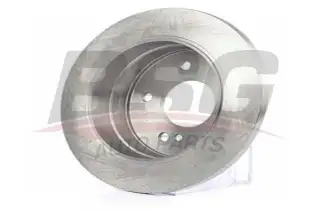 BSG 60210032 Fren Diski Arka