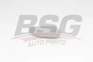 BSG 90910060 Ayna Camı Sağ