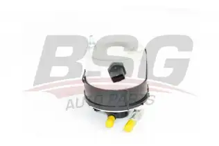BSG 30130015 Yakıt Filtresi