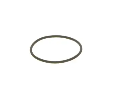 BOSCH F00N201306 O-Ring - 20. Görsel