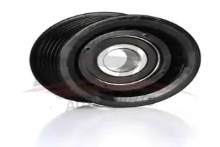 BSG 30615046 V Kayış Gergi Rulmanı