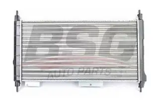 BSG 65520002 Su Radyatörü