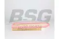 BSG 60135026 Hava Filtresi