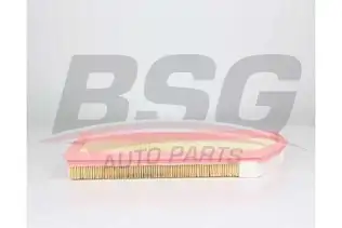 BSG 60135026 Hava Filtresi