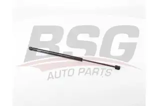 BSG 75980005 Bagaj Amortisörü