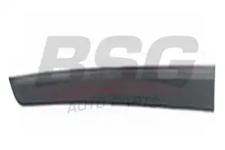 BSG 65925041 Kapı Bandı Ön Sağ