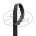 DAYCO 6DPK1195 V Kayışı