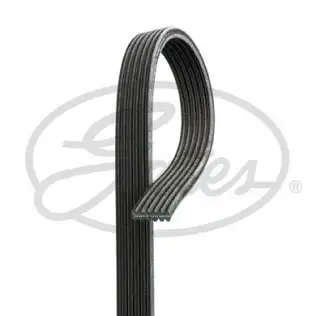 DAYCO 6DPK1215 V Kayışı
