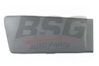 BSG 30924025 Kapı Bandı Arka Sağ