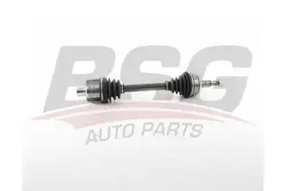 BSG 65350058 Aks Komple Ön Sağ