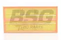 BSG 60135005 Hava Filtresi