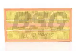 BSG 60135005 Hava Filtresi