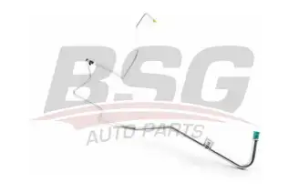BSG 30725046 Direksiyon Hortumu