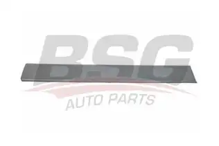 BSG 70975036 Sürgülü Kapı Bandı