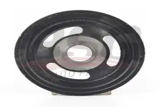 BSG 70170001 Krank Kasnağı