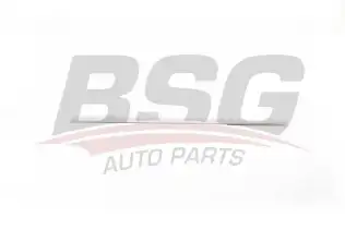 BSG 90924039 Kapı Bandı Arka Sol