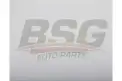 BSG 40145023 Polen Filtresi