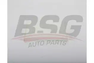 BSG 40145023 Polen Filtresi