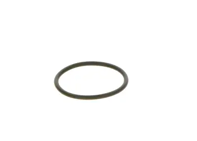 BOSCH F00R0P0166 O-Ring - 17. Görsel
