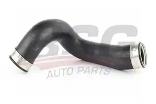 BSG 60720039 Turbo Hortumu