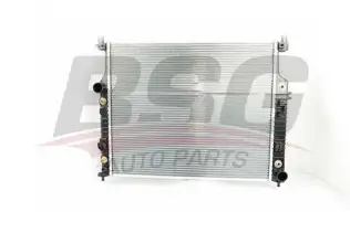 BSG 60520024 Su Radyatörü