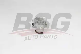 BSG 15355035 Direksiyon Pompası