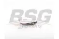 BSG 30910039 Ayna Camı Sağ