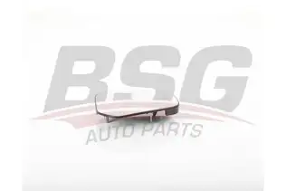 BSG 30910039 Ayna Camı Sağ