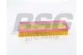 BSG 60135039 Hava Filtresi