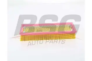 BSG 60135039 Hava Filtresi