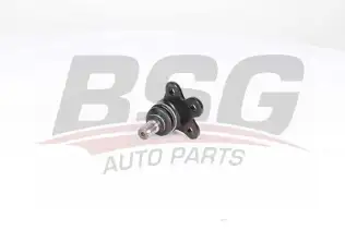 BSG 65310087 Rotil Alt