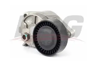 BSG 15615006 V Kayış Gergisi Komple