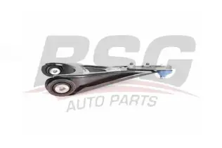 BSG 75315029 Salıncak Ön Sağ