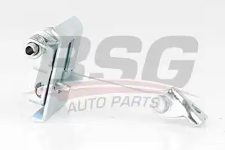 BSG 70975007 Kapı Gergisi Ön