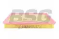 BSG 65135010 Hava Filtresi