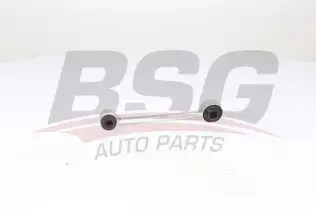BSG 65310106 Viraj Askı Rotu Arka Sol