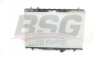 BSG 40520038 Su Radyatörü