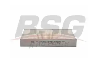 BSG 30145002 Polen Filtresi