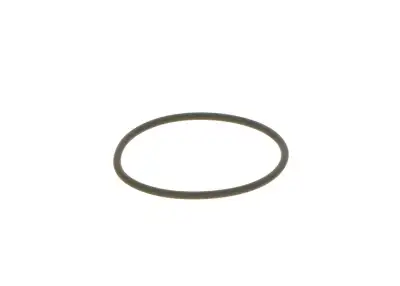 BOSCH F00N201306 O-Ring - 10. Görsel